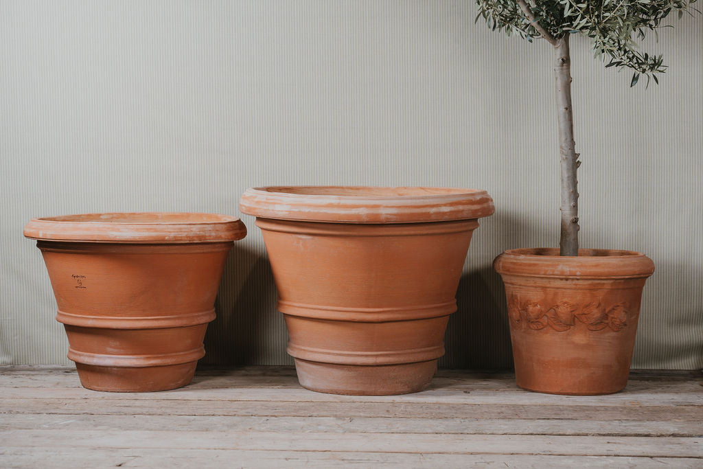 Imprunetino Liscio Italian Terracotta Planters - Tom's Yard