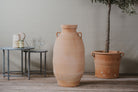 Rodos Cretan Terracotta Pots - Tom's Yard