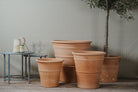 Tapered Cretan Terracotta Planters - Tom's Yard