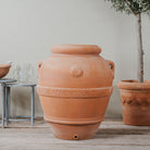 Classic Italian Terracotta Tuscan Orcio - Tom's Yard