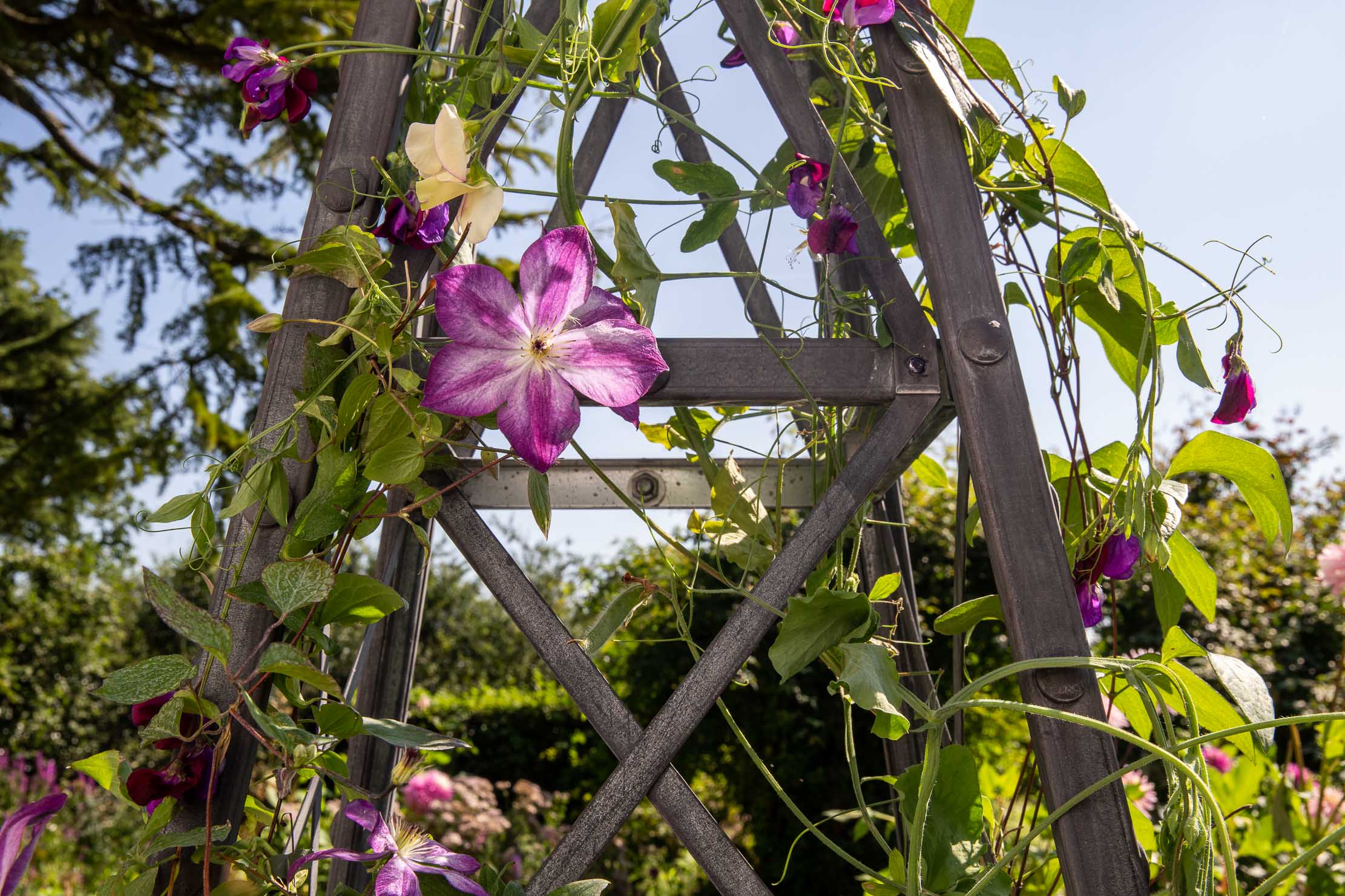 142cm Galvanised Steel Pyramid Obelisk - Tom's Yard