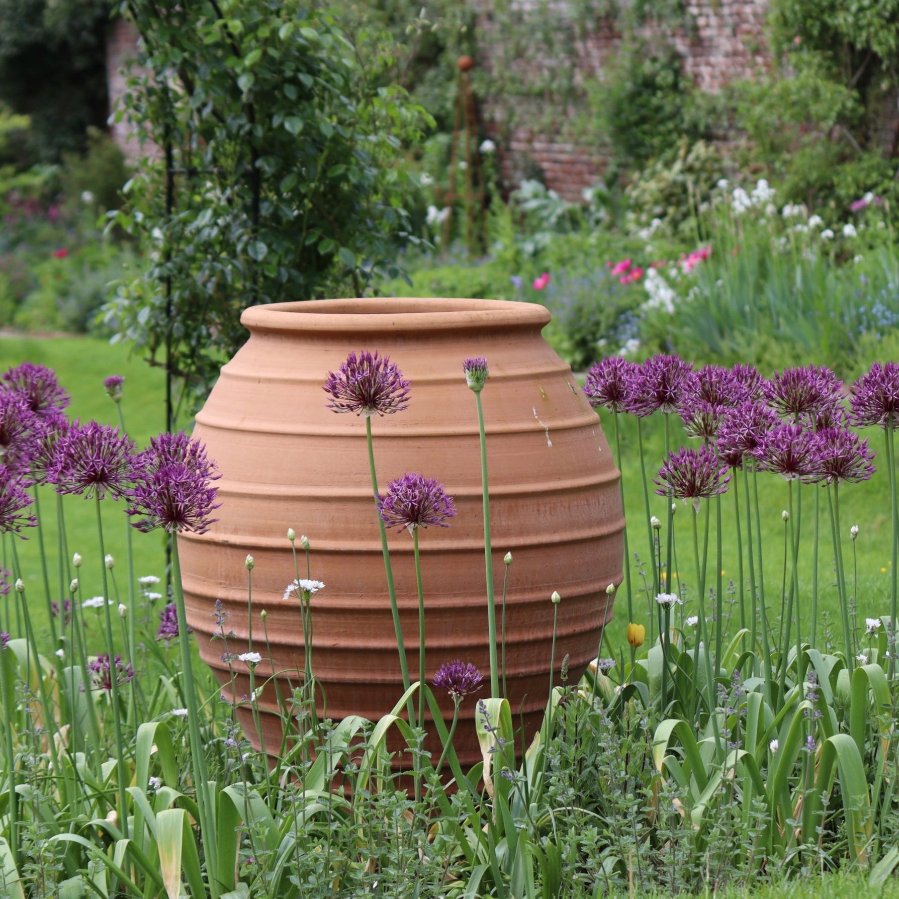Cratos Cretan Terracotta Pot - Tom's Yard