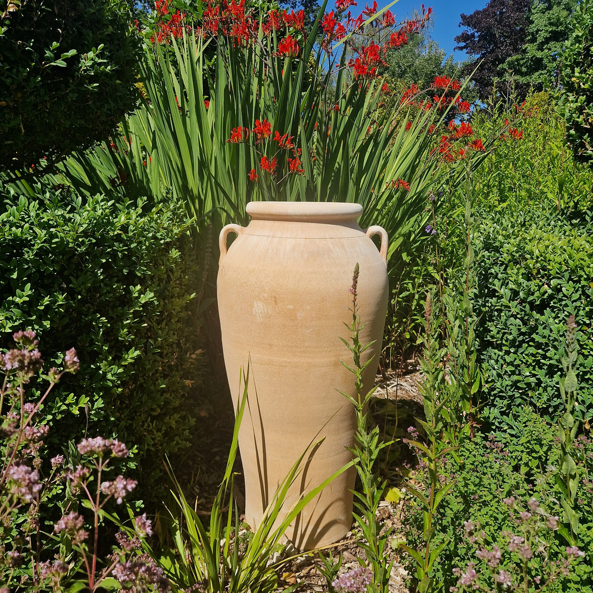 amphora plant pot Cretan Terracotta Amphora – Tom's Yard