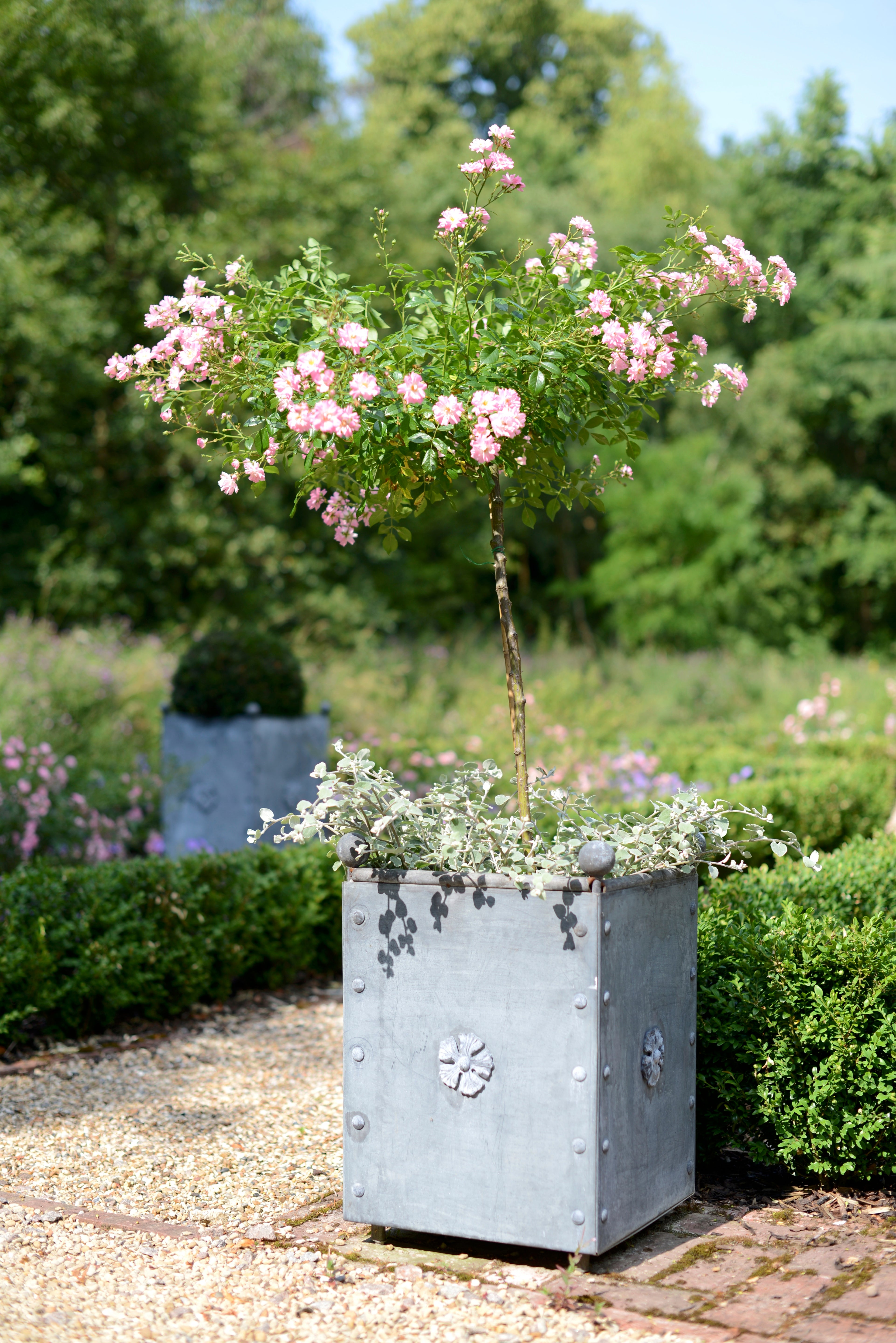 Traditional Galvanised Steel Square Planters - Tom's Yard