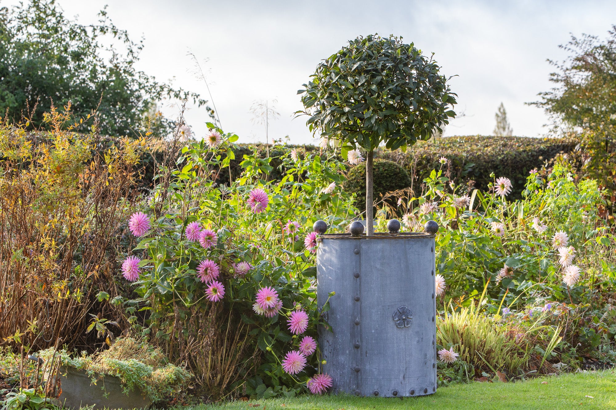 Large Traditional Galvanised Steel Round Planter - Tom's Yard