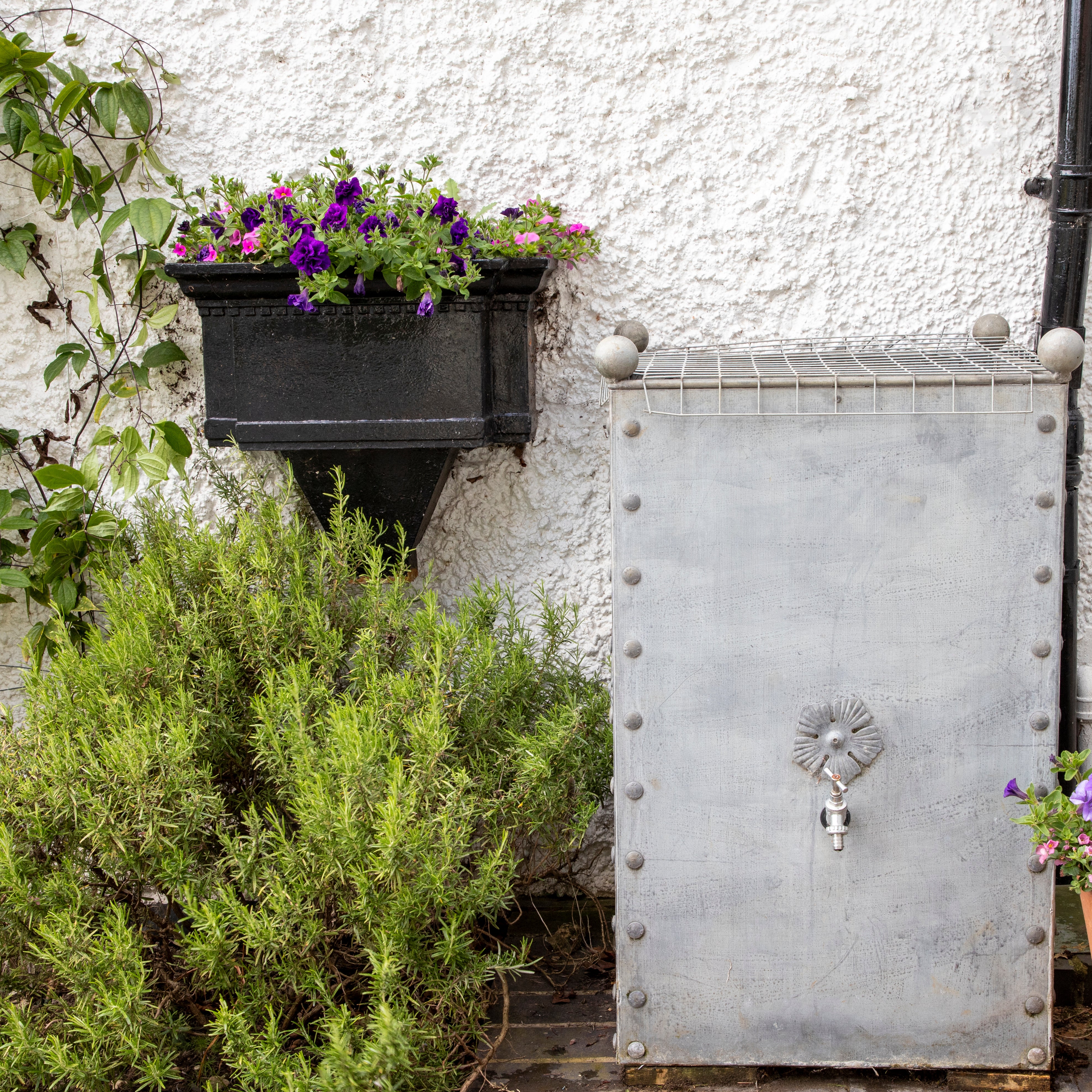 Traditional Galvanised Steel Water Butts - Tom's Yard