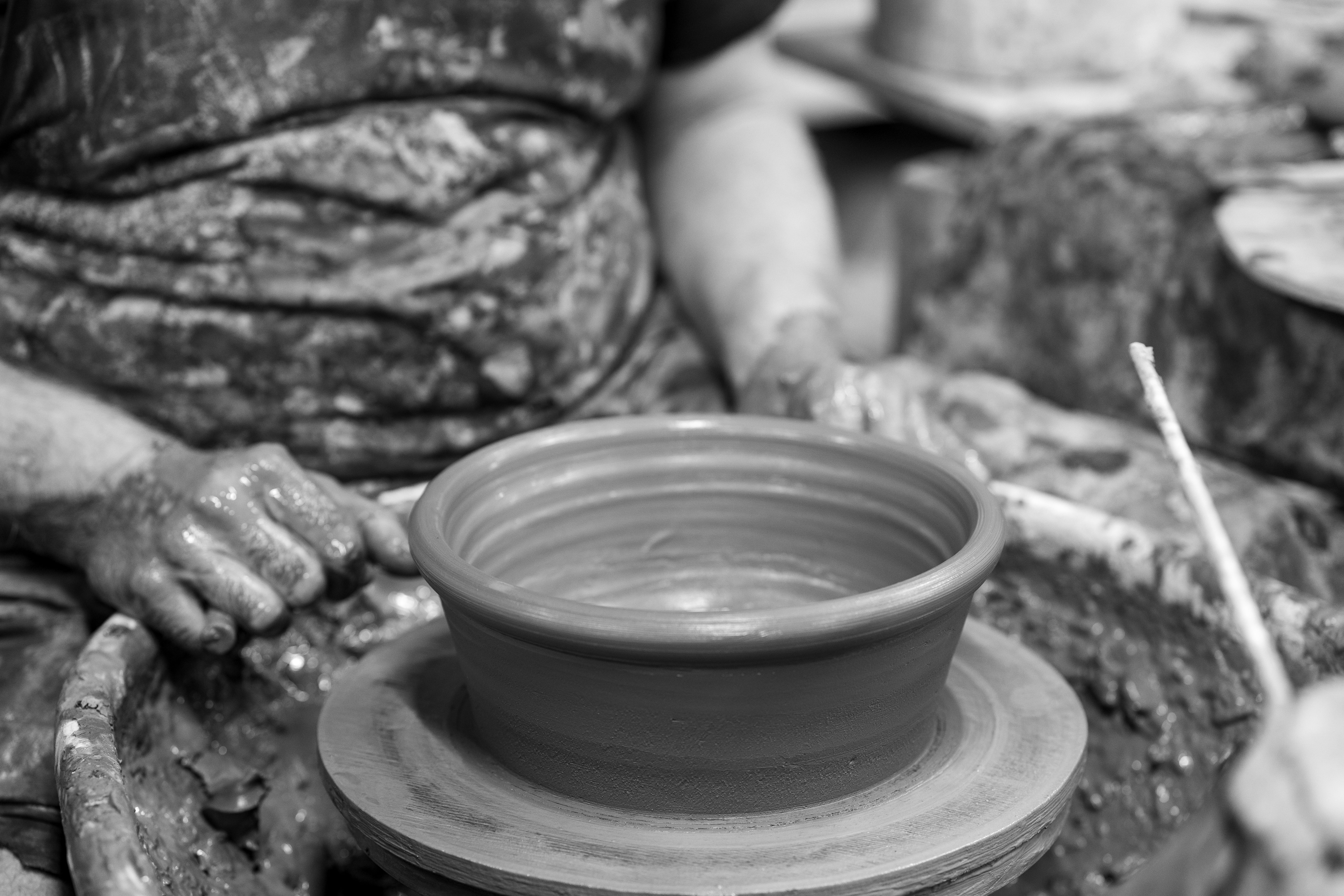 Tom's Yard Traditional Terracotta Seed Pans - Tom's Yard