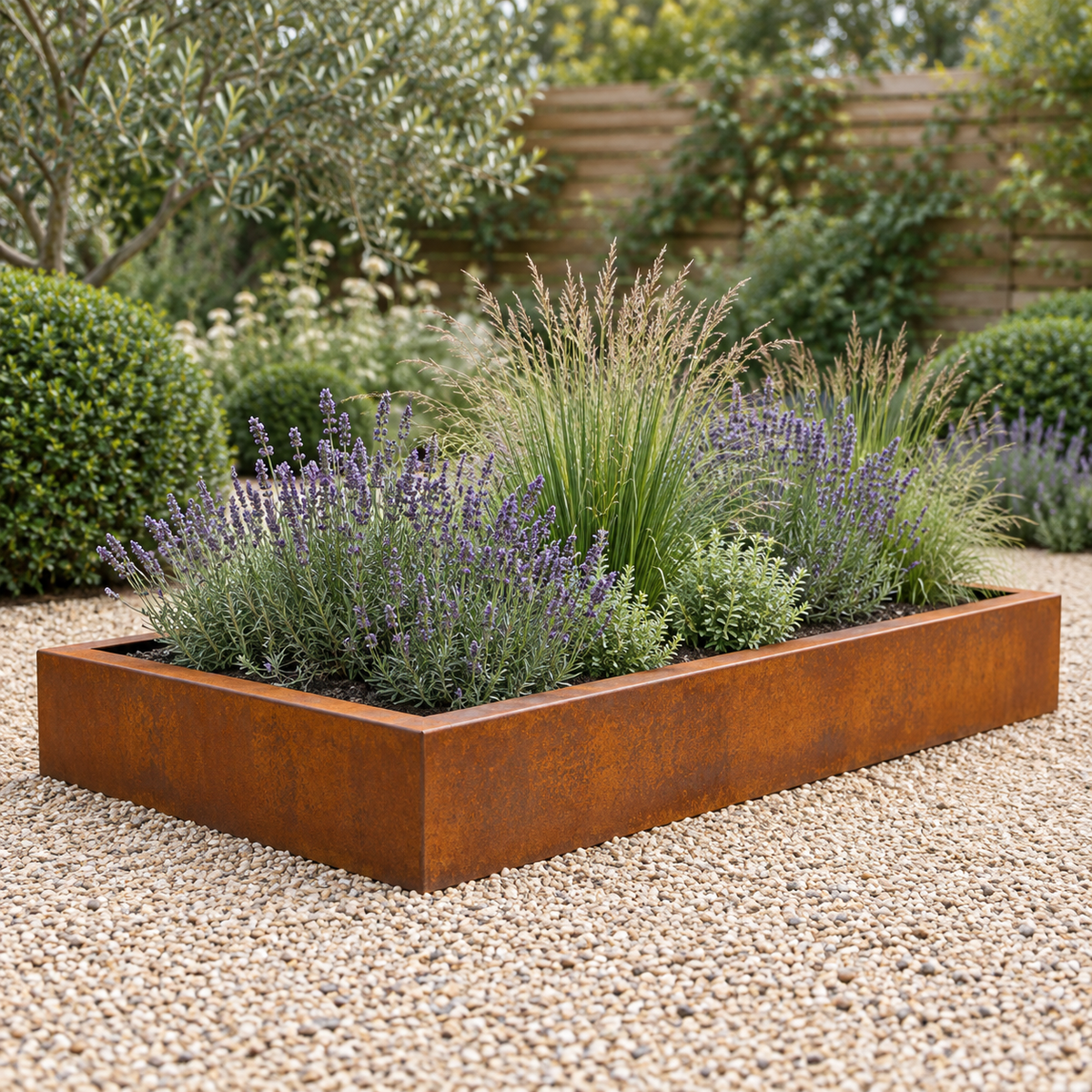 The Broxwood Bottomless Trough – Raised Bed – Corten Steel - Tom's Yard