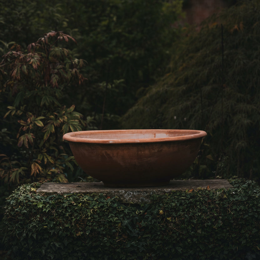 Italian Terracotta Bowl Planters - Tom's Yard