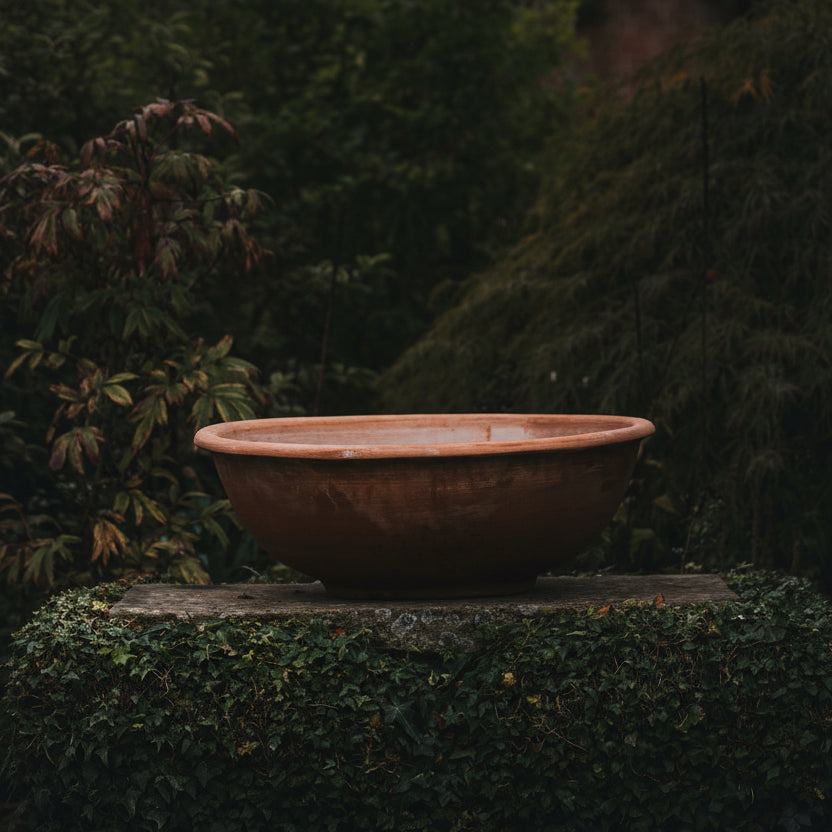 Italian Terracotta Bowl Planters - Tom's Yard