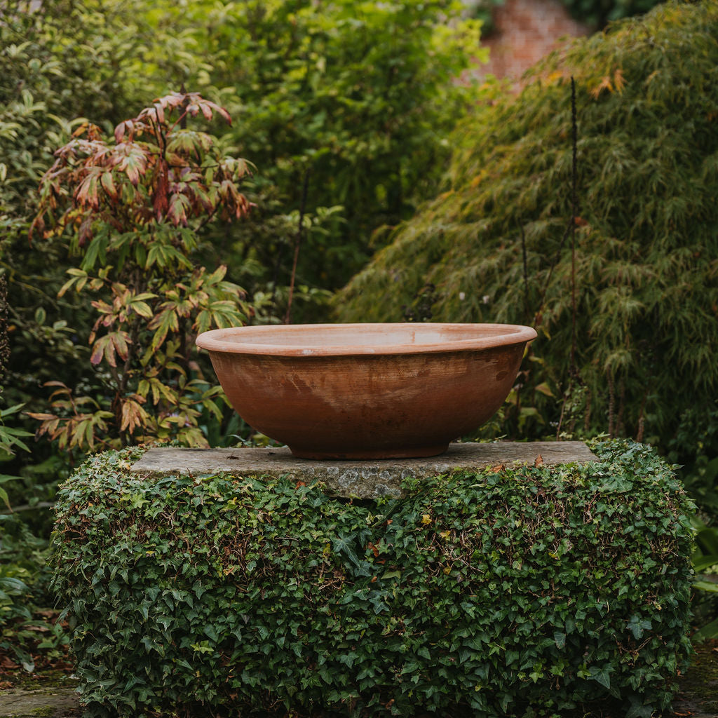 Italian Terracotta Bowl Planters - Tom's Yard