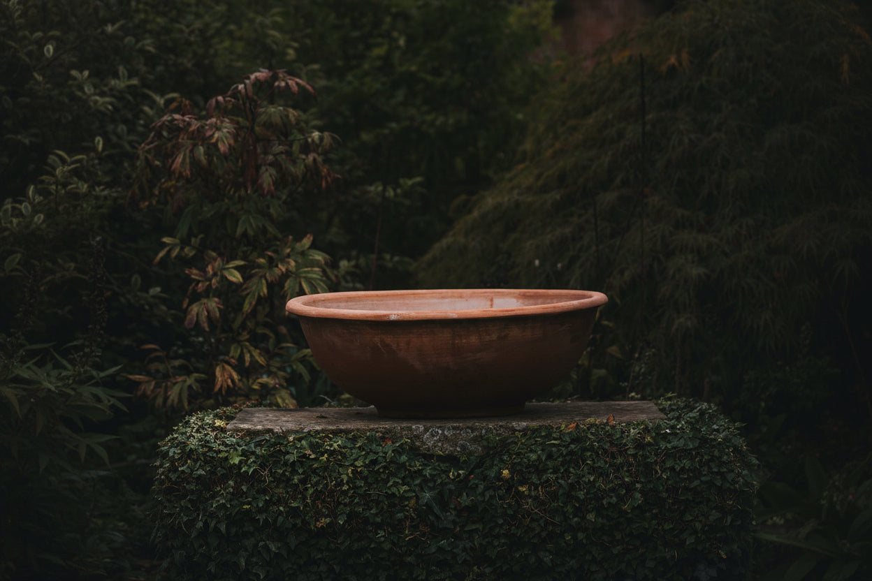 Italian Terracotta Bowl Planters - Tom's Yard