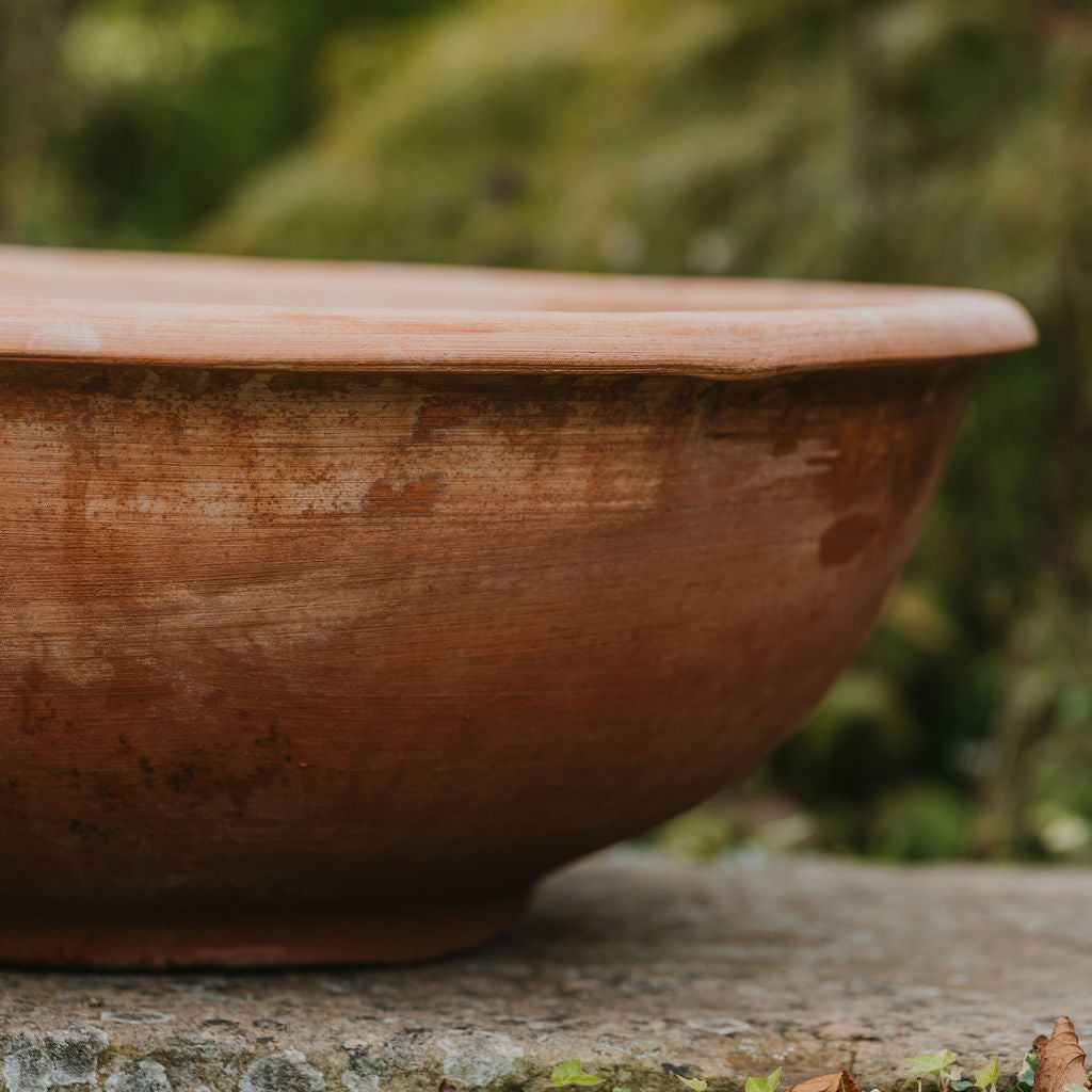 Italian Terracotta Bowl Planters - Tom's Yard