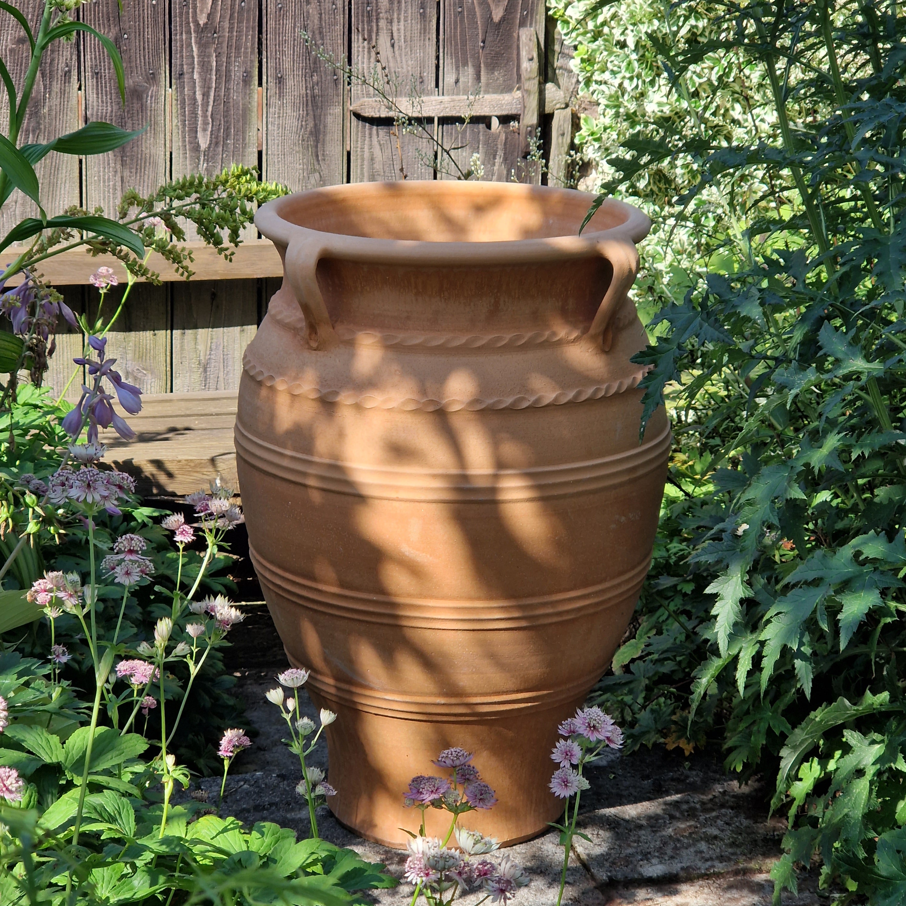 Dionysus Cretan Terracotta Pot - Tom's Yard