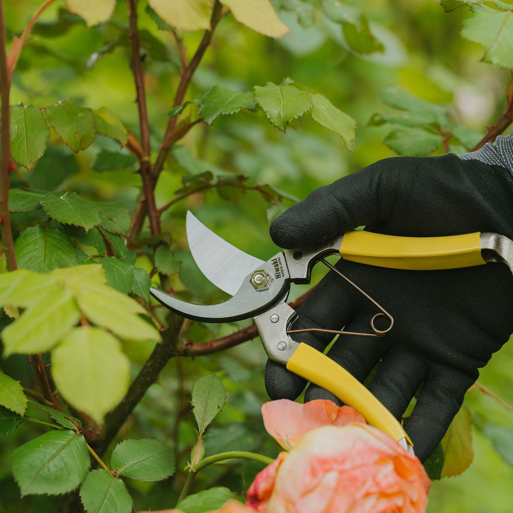 Niwaki Daikiba Secateurs - Tom's Yard