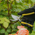 Niwaki GR Pro Secateurs - Tom's Yard