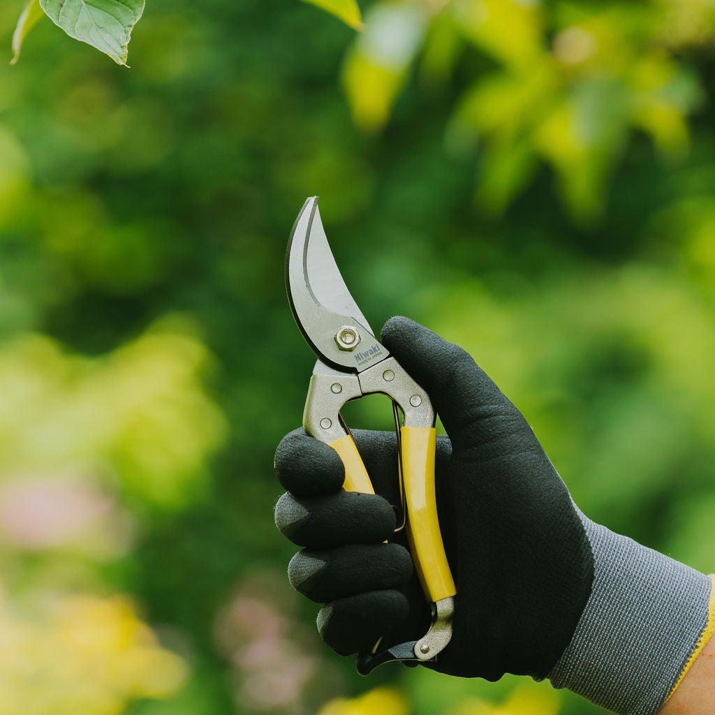 Niwaki Daikiba Secateurs - Tom's Yard