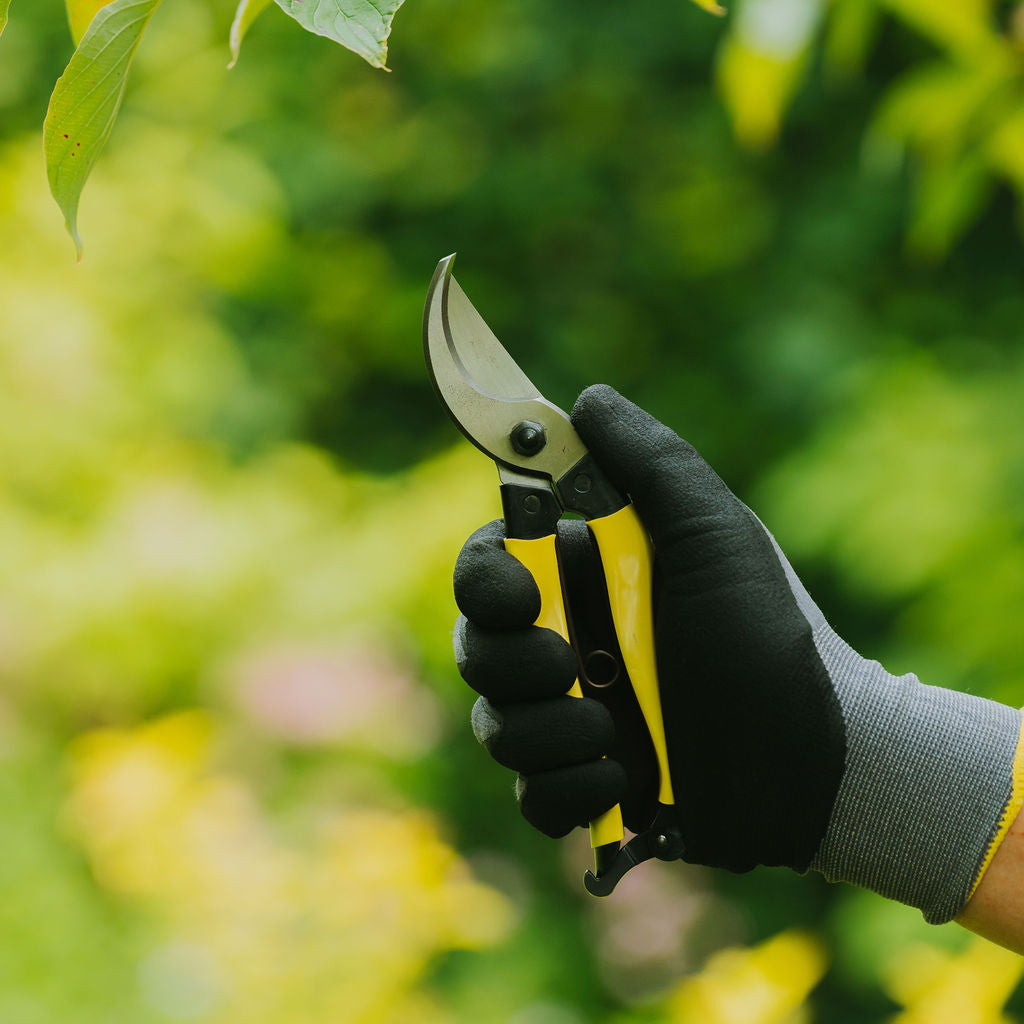Niwaki Mainichi Secateurs - Tom's Yard