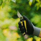 Niwaki Mainichi Secateurs - Tom's Yard