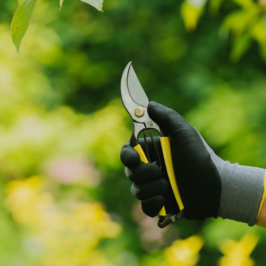 Niwaki GR Pro Secateurs - Tom's Yard