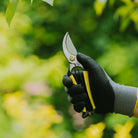 Niwaki GR Pro Secateurs - Tom's Yard