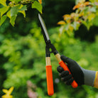 Niwaki Mini Shears - Tom's Yard