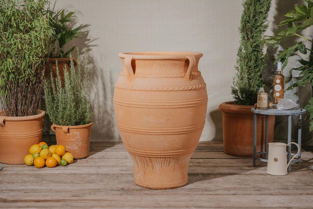 Dionysus Cretan Terracotta Pot - Tom's Yard