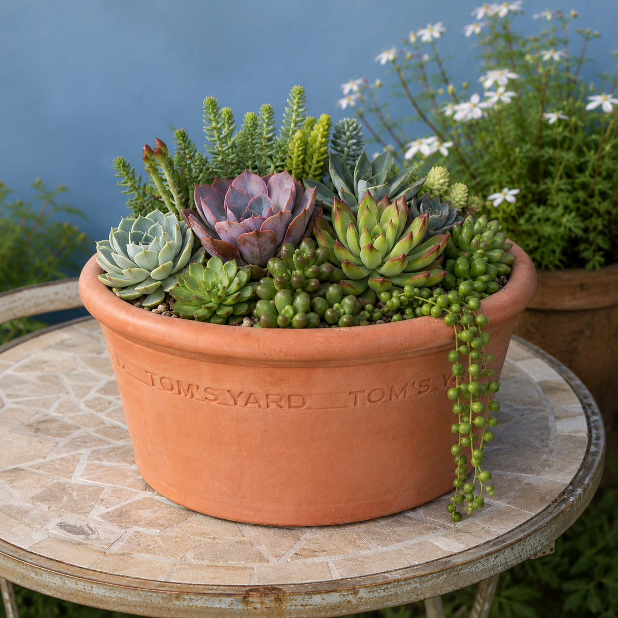 Tom's Yard Traditional Terracotta Seed Pans - Tom's Yard