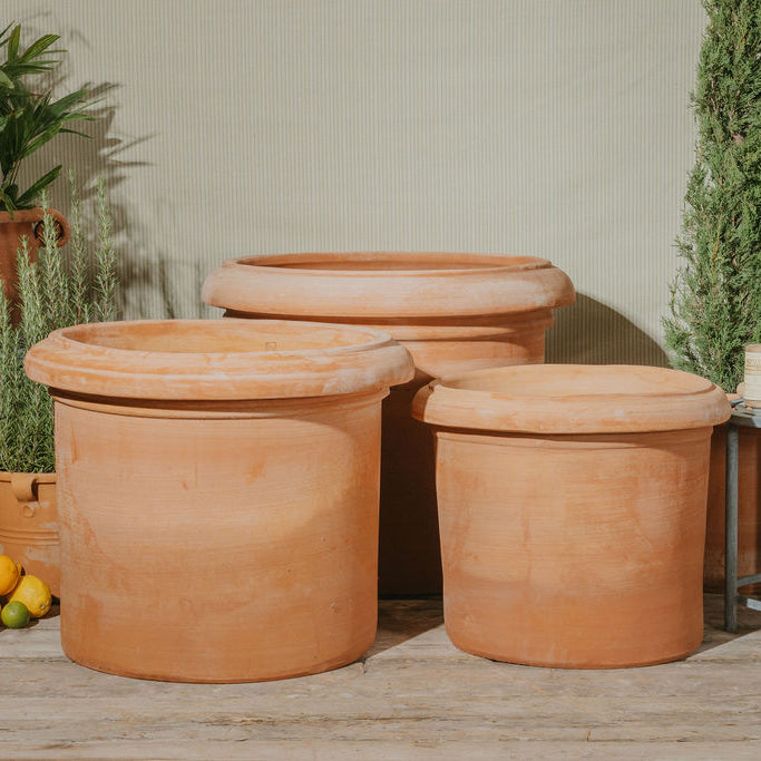 55cm Raphael Planter Package - Tom's Yard