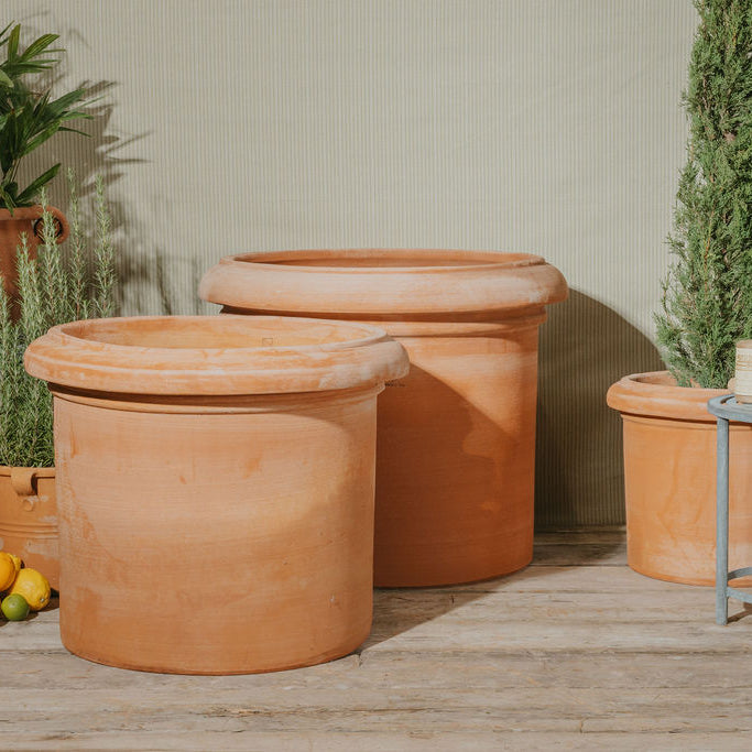 Raphael Italian Terracotta Planters - Tom's Yard