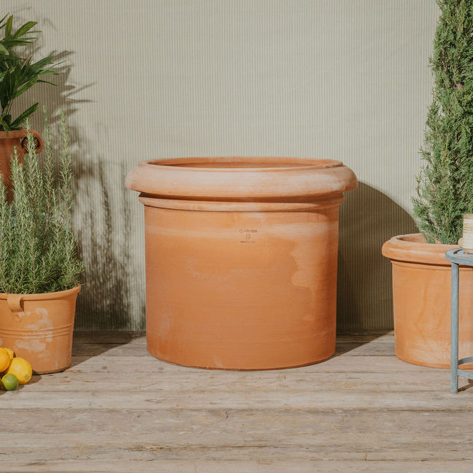 Raphael Italian Terracotta Planters - Tom's Yard