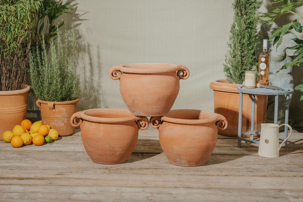 Da Vinci Italian Terracotta Scroll Pot - Tom's Yard