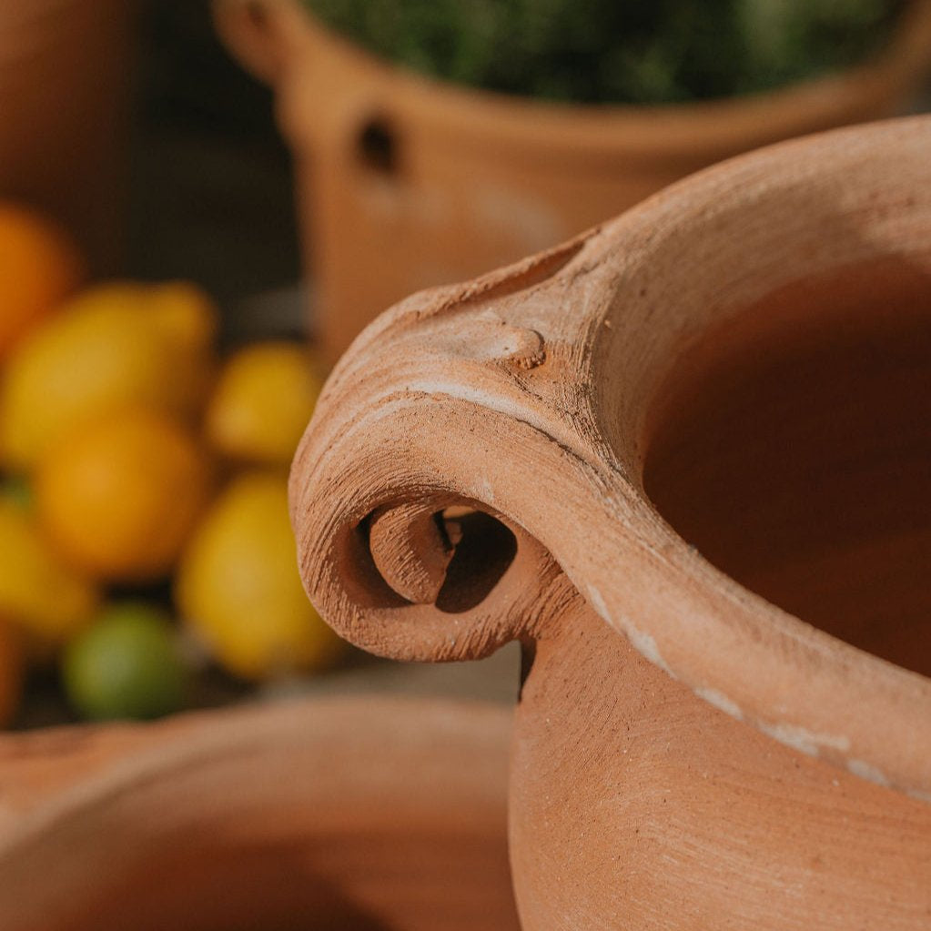 Da Vinci Italian Terracotta Scroll Pot - Tom's Yard