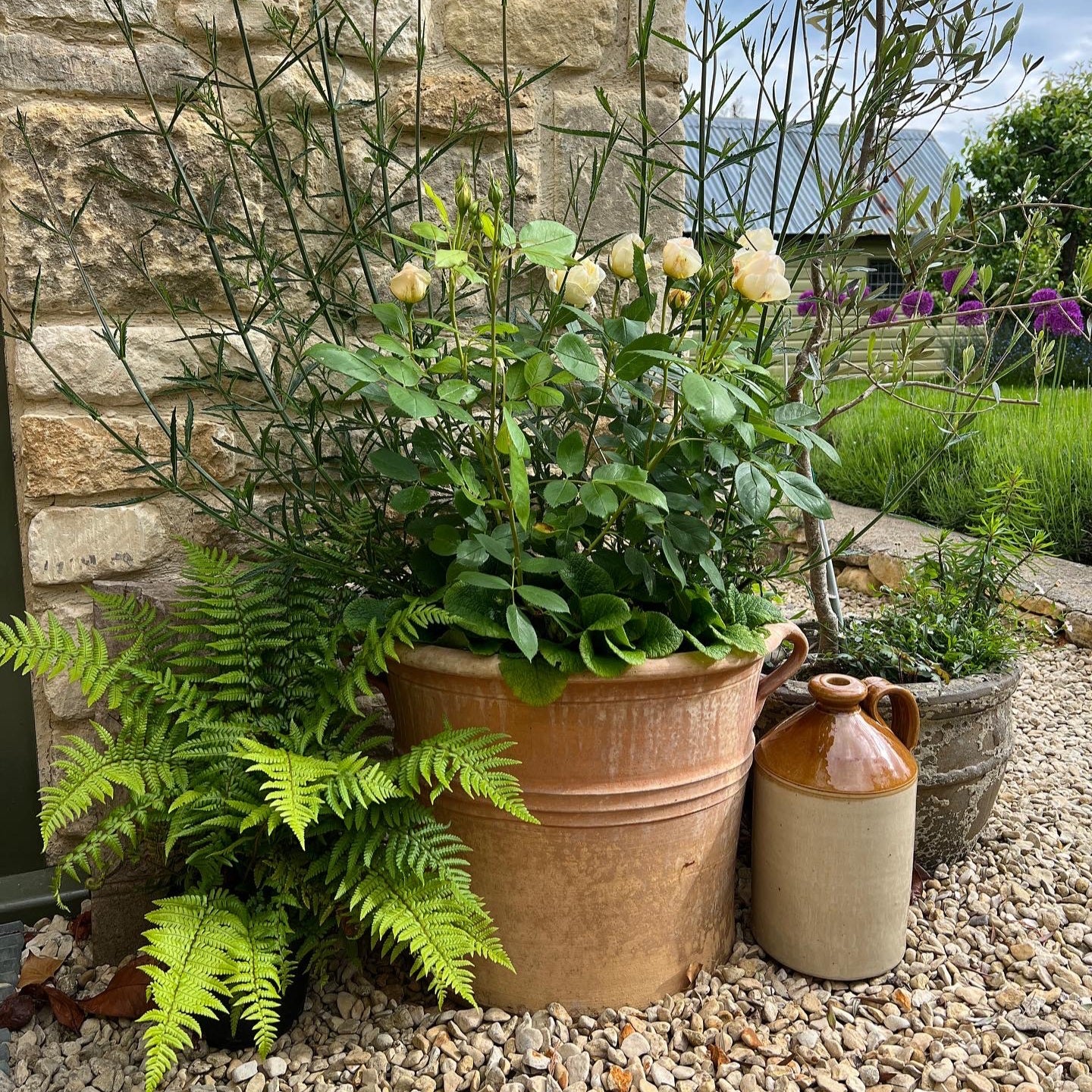 Faythe Cretan Terracotta Tub Planters - Tom's Yard