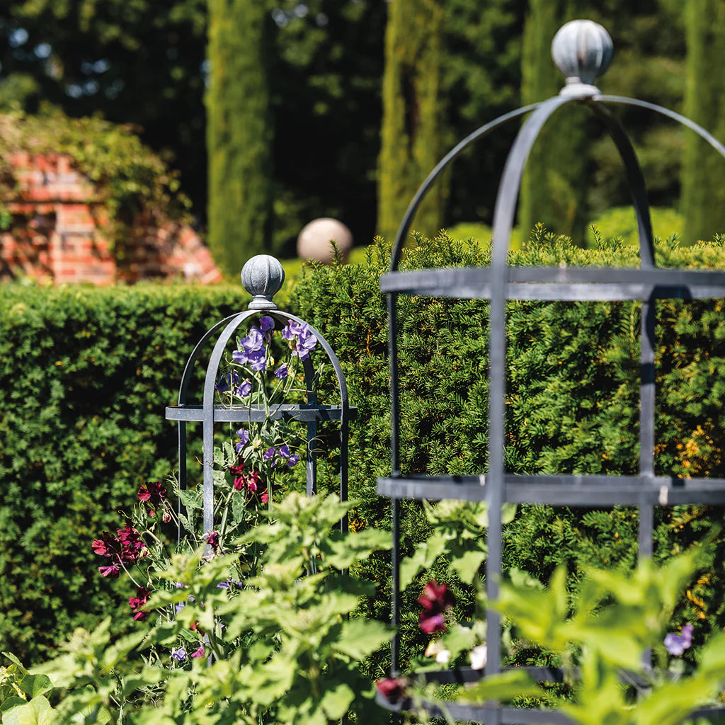 Round Obelisk Plant Supports - Tom's Yard