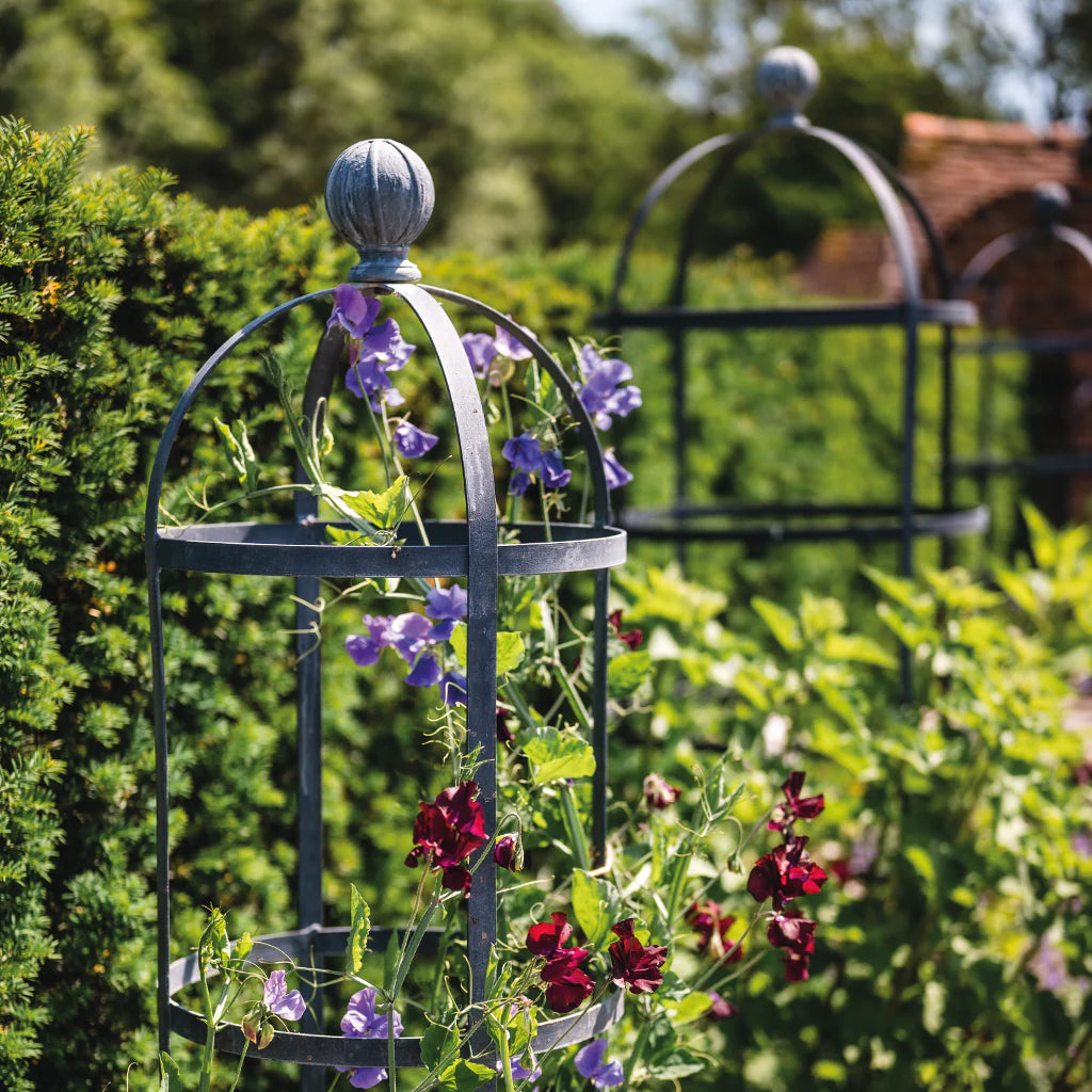 Round Obelisk Plant Supports - Tom's Yard