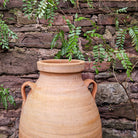 Rodos Cretan Terracotta Pots - Tom's Yard