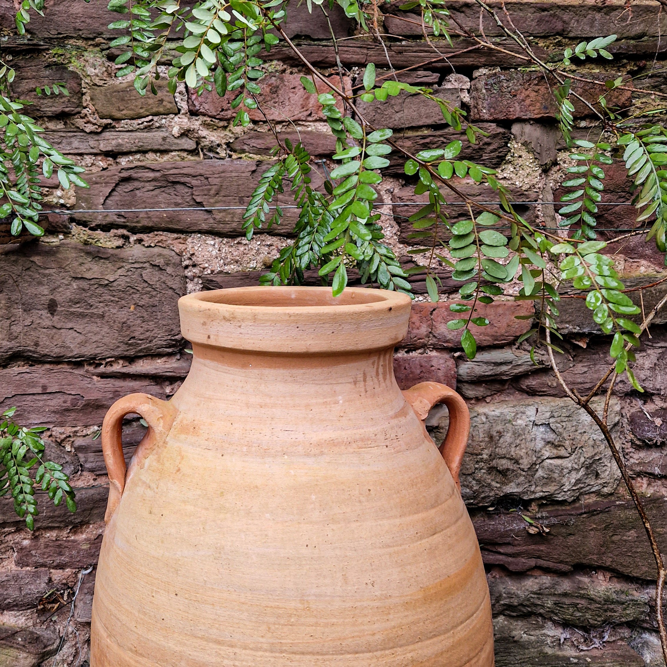 Rodos Cretan Terracotta Pots - Tom's Yard