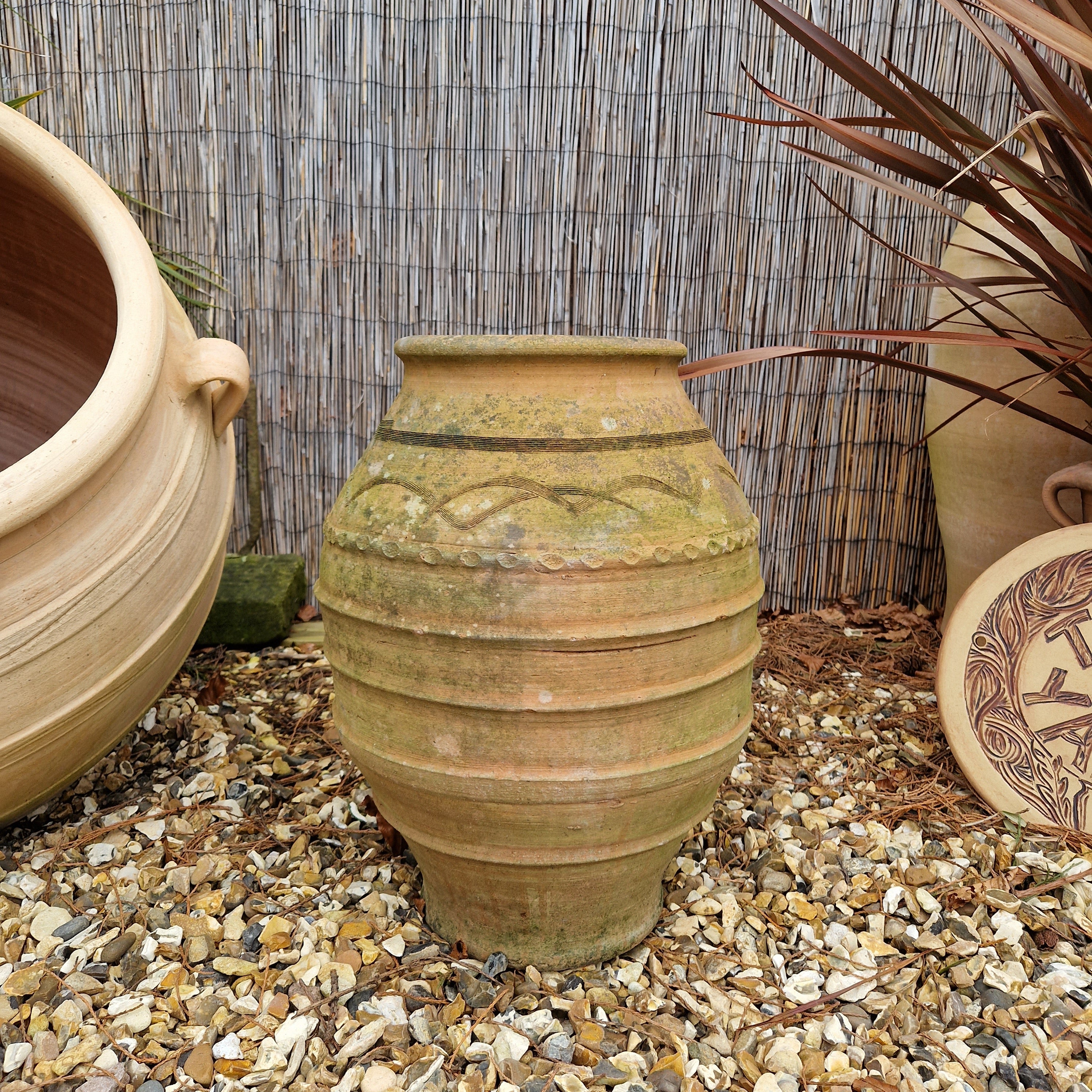 Weathered Cretan Pot 4 - Tom's Yard