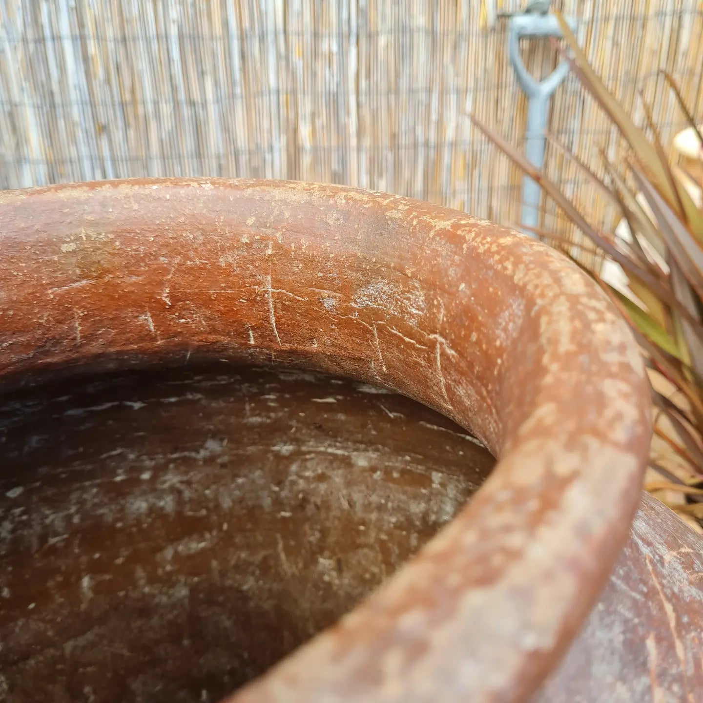 Large Antique Mediterranean Pot 2 - Tom's Yard