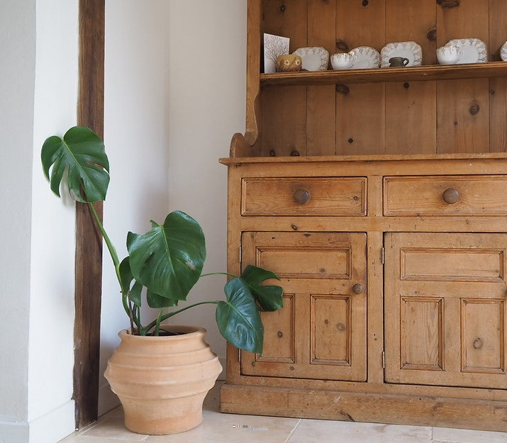 Pacifica Cretan Terracotta Herb Pot - Tom's Yard