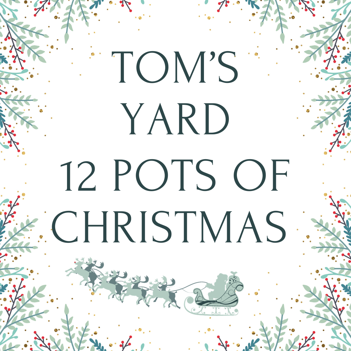 The Tom's Yard 12 Pots of Christmas Sale Begins
