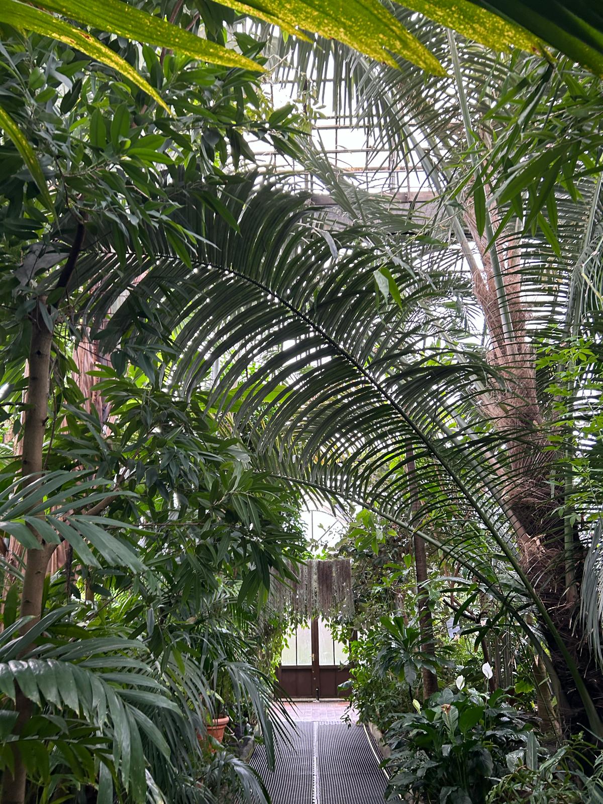 Visiting Glasgow's Botanical Gardens