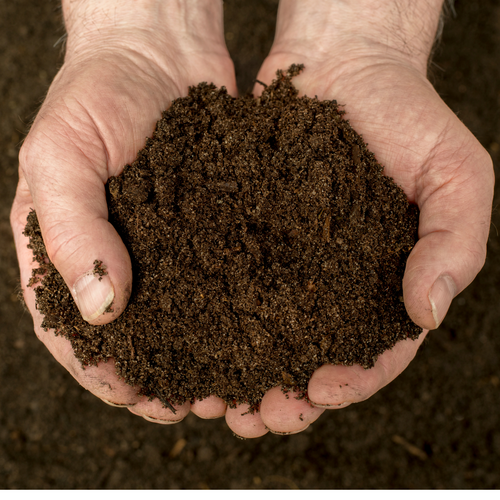 Give the Gift of Mulch this Winter (with Guest Appearance from William Scott at AHS Heart of Eden)