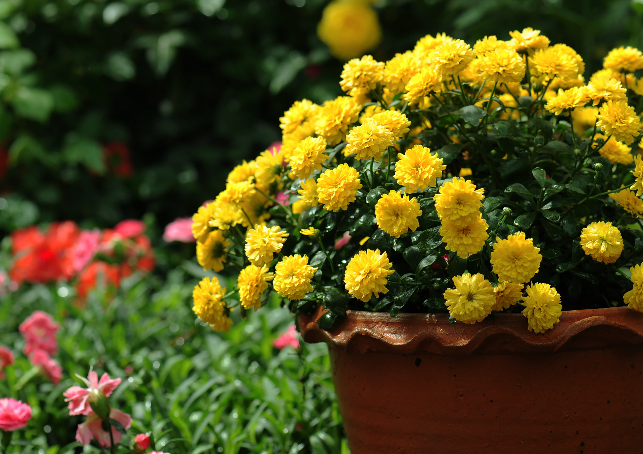 Let’s Embrace the Summer to Autumn Transition