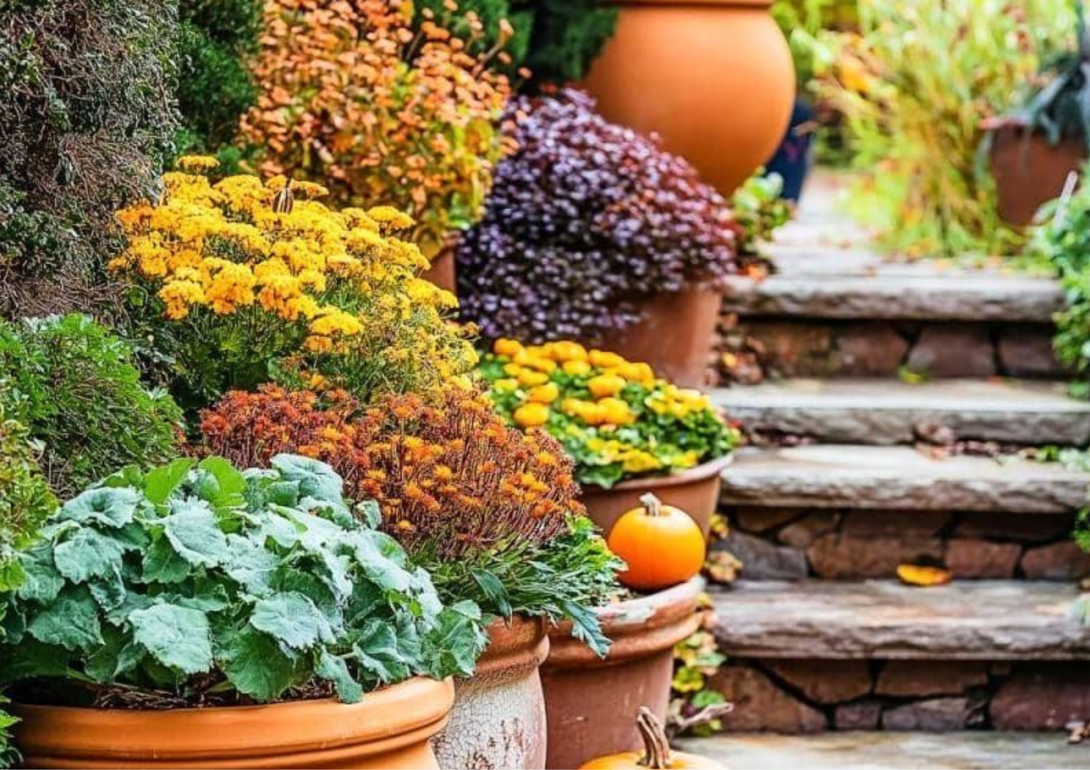 The Autumn Glow of Terracotta: Bringing Warmth to Gardens and Homes