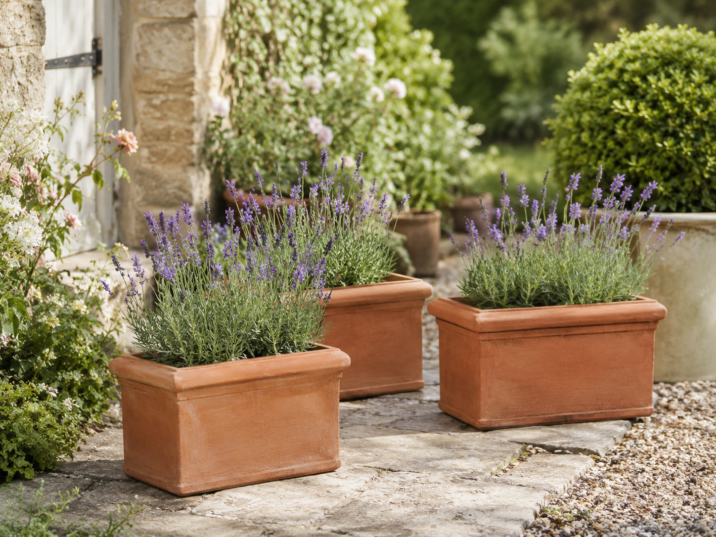 Best Plants for Terracotta Trough Planters