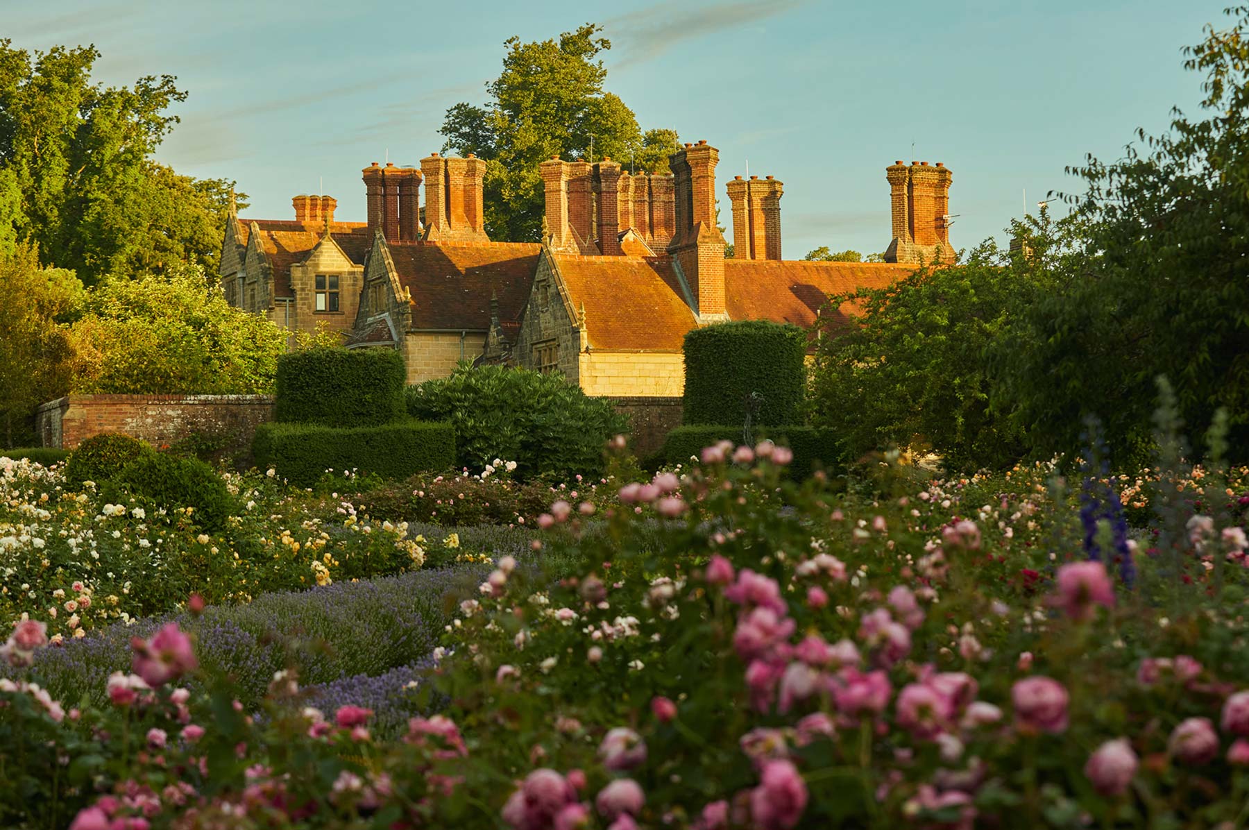 Borde Hill Garden Festival Announcement