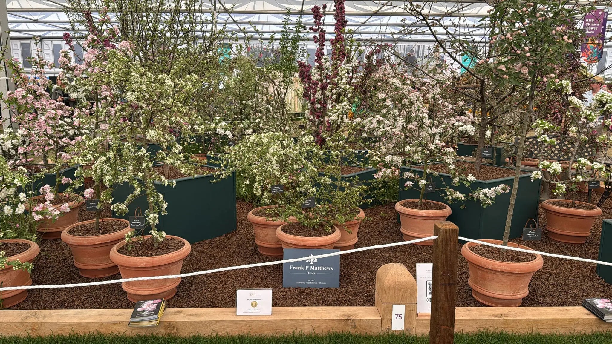 Chelsea Flower Show 2026