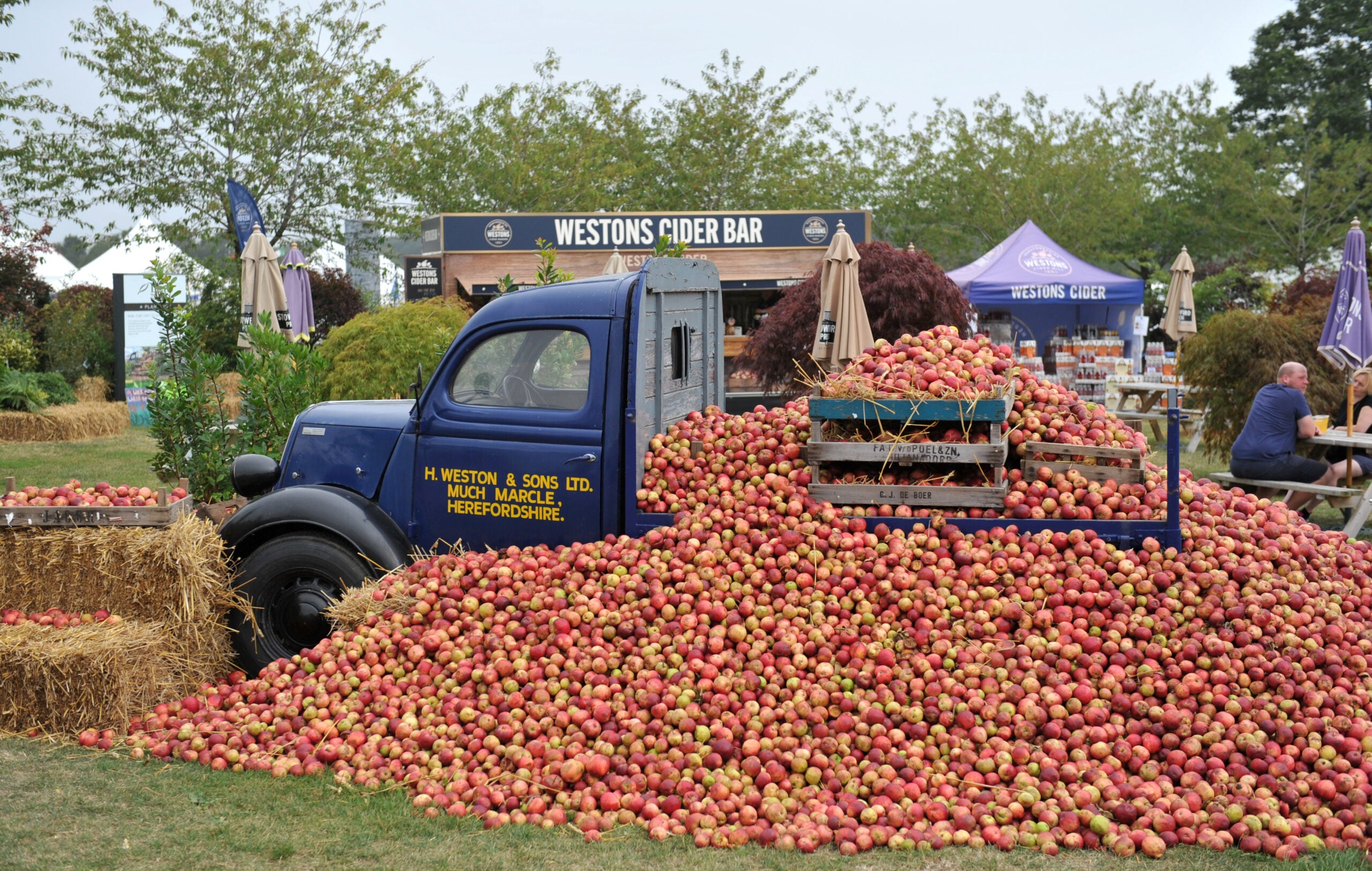 One Week Until The 2025 Malvern Autumn Show